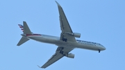 American Airlines Boeing 767-323(ER) (N343AN) at  In Flight, Germany