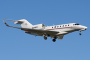 (Private) Cessna 750 Citation X (N348CF) at  Teterboro, United States