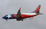 Southwest Airlines Boeing 737-3H4 (N352SW) at  Tampa - International, United States