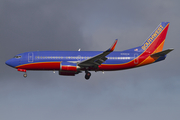 Southwest Airlines Boeing 737-3H4 (N358SW) at  Seattle/Tacoma - International, United States