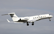 (Private) Gulfstream G-V-SP (G550) (N360LF) at  London - Luton, United Kingdom