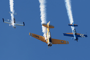 (Private) North American SNJ-6 Texan (N3639F) at  Oshkosh - Wittman Regional, United States