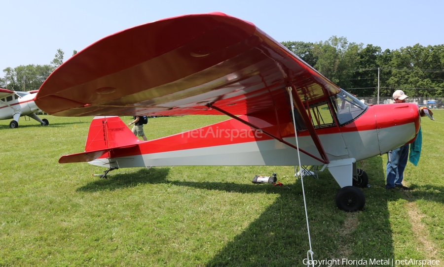 (Private) Taylorcraft BF-65 (N36441) | Photo 380936