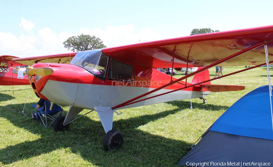 (Private) Taylorcraft BF-65 (N36441) | Photo 380937