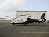 (Private) Eurocopter AS365N2 Dauphin 2 (N365LL) at  San Juan - Fernando Luis Ribas Dominicci (Isla Grande), Puerto Rico