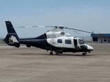 (Private) Eurocopter AS365N2 Dauphin 2 (N365LL) at  Ponce - Mercedita International, Puerto Rico