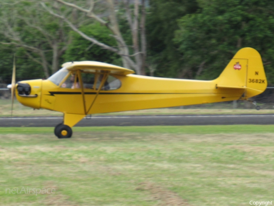(Private) Piper J3C-65 Cub (N3682K) | Photo 509221