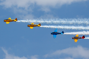 (Private) North American AT-6D Texan (N36CA) at  Columbus AFB, United States