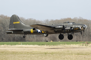 Military Aircraft Restoration Corp. Boeing B-17G Flying Fortress (N3703G) at  John Bell Williams, United States