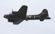 Military Aircraft Restoration Corp. Boeing B-17G Flying Fortress (N3703G) at  Detroit - Willow Run, United States
