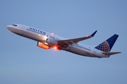 United Airlines Boeing 737-824 (N37287) at  Los Angeles - International, United States