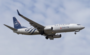 Delta Air Lines Boeing 737-832 (N3755D) at  Seattle/Tacoma - International, United States