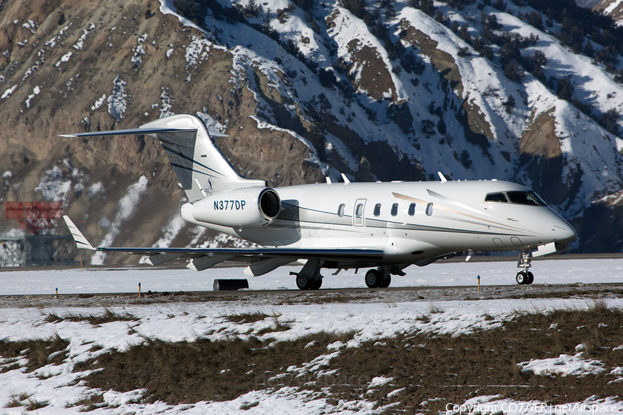 (Private) Bombardier BD-100-1A10 Challenger 300 (N377DP) | Photo 37250