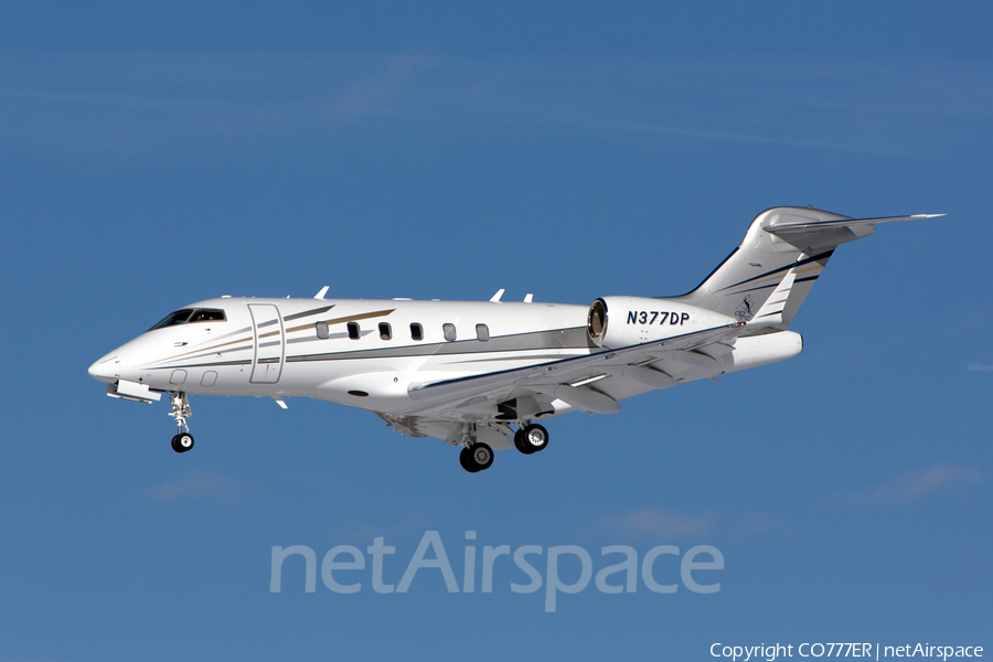 (Private) Bombardier BD-100-1A10 Challenger 300 (N377DP) | Photo 38502