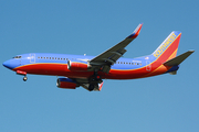 Southwest Airlines Boeing 737-3H4 (N378SW) at  Tampa - International, United States