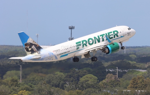 Frontier Airlines Airbus A320-251N (N384FR) at  Tampa - International, United States