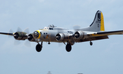 (Private) Boeing B-17G Flying Fortress (N390TH) at  Dallas - Addison, United States