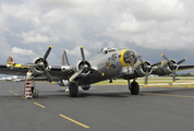 (Private) Boeing B-17G Flying Fortress (N390TH) at  Ft. Lauderdale - Executive, United States