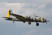 (Private) Boeing B-17G Flying Fortress (N390TH) at  Detroit - Willow Run, United States