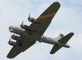 (Private) Boeing B-17G Flying Fortress (N390TH) at  Detroit - Willow Run, United States