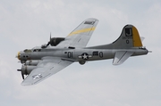 (Private) Boeing B-17G Flying Fortress (N390TH) at  Detroit - Willow Run, United States