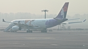 Hawaiian Airlines Airbus A330-243 (N391HA) at  Beijing - Capital, China