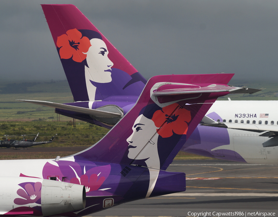 Hawaiian Airlines Airbus A330-243 (N393HA) | Photo 381747