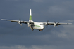 Lynden Air Cargo Lockheed L-100-30 (Model 382G) Hercules (N401LC) at  Anchorage - Ted Stevens International, United States