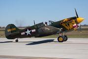 (Private) Curtiss P-40K Warhawk (N401WH) at  Ellington Field - JRB, United States