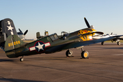 (Private) Curtiss P-40K Warhawk (N401WH) at  Ellington Field - JRB, United States