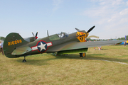 (Private) Curtiss P-40K Warhawk (N401WH) at  Oshkosh - Wittman Regional, United States