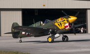 (Private) Curtiss P-40K Warhawk (N401WH) at  Miami - Kendal Tamiami Executive, United States