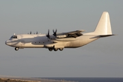 Lynden Air Cargo Lockheed L-100-30 (Model 382G) Hercules (N405LC) at  Gran Canaria, Spain