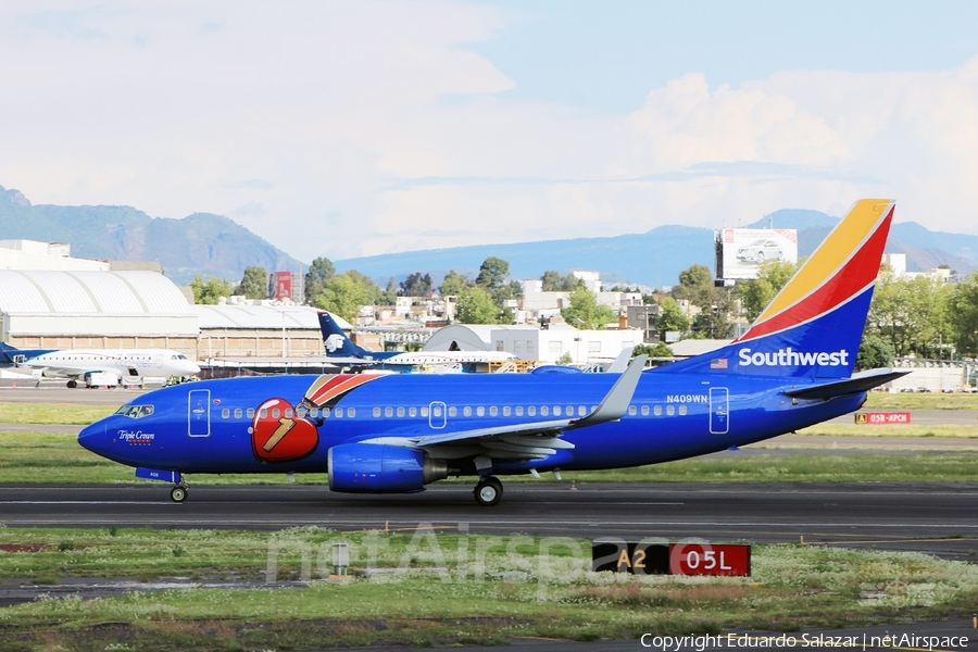 Southwest Airlines Boeing 737-7H4 (N409WN) | Photo 151310