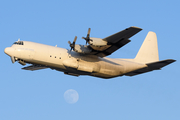 Lynden Air Cargo Lockheed L-100-30 (Model 382G) Hercules (N410LC) at  Anchorage - Ted Stevens International, United States