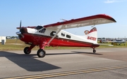 (Private) de Havilland Canada U-6A Beaver (N4110S) at  Lakeland - Regional, United States