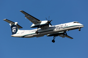 Alaska Airlines (Horizon) Bombardier DHC-8-402Q (N413QX) at  Seattle/Tacoma - International, United States