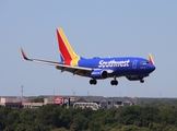 Southwest Airlines Boeing 737-7H4 (N417WN) at  Tampa - International, United States