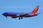 Southwest Airlines Boeing 737-7H4 (N418WN) at  Dallas - Love Field, United States
