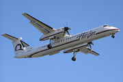 Horizon Air Bombardier DHC-8-402Q (N419QX) at  Los Angeles - International, United States