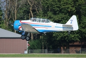(Private) North American SNJ-5 Texan (N41BT) at  Oshkosh - Wittman Regional, United States