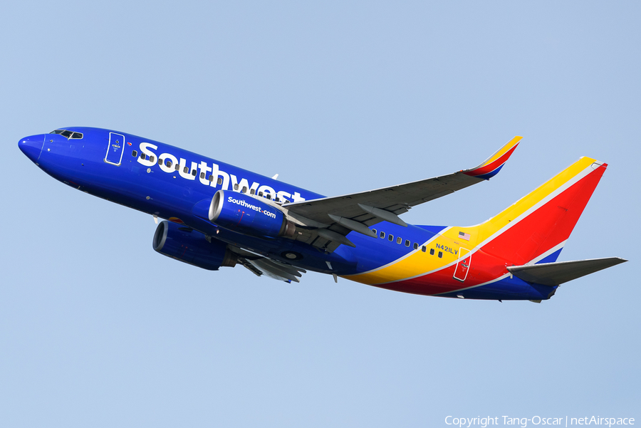 Southwest Airlines Boeing 737-7H4 (N421LV) | Photo 483248