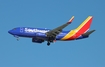 Southwest Airlines Boeing 737-7H4 (N422WN) at  Tampa - International, United States