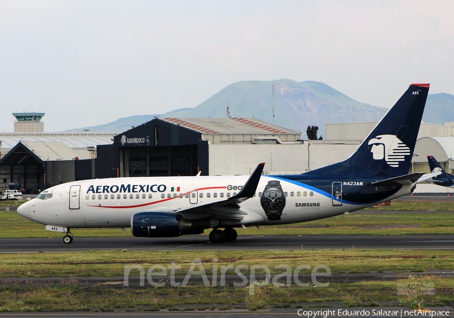 AeroMexico Boeing 737-73V (N423AM) | Photo 147471