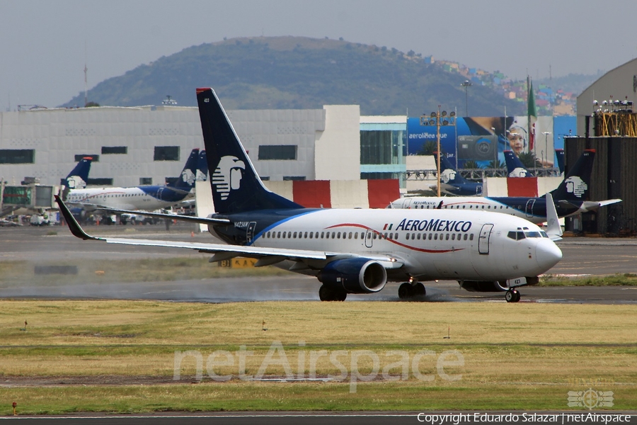 AeroMexico Boeing 737-73V (N423AM) | Photo 181502