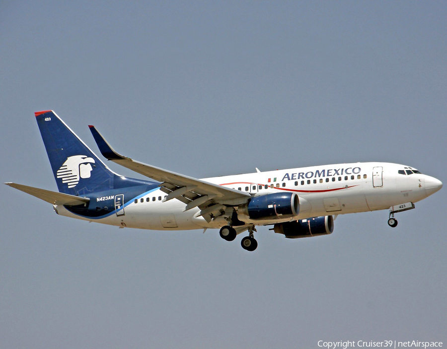 AeroMexico Boeing 737-73V (N423AM) | Photo 261280