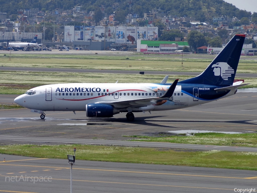AeroMexico Boeing 737-73V (N423AM) | Photo 55531