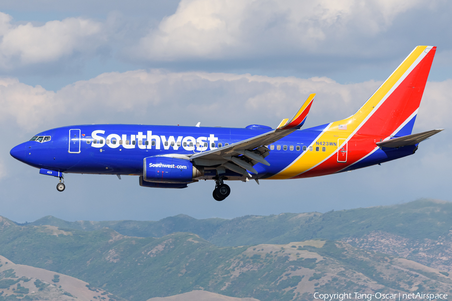 Southwest Airlines Boeing 737-7H4 (N423WN) | Photo 458910