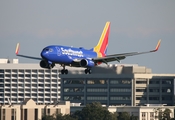 Southwest Airlines Boeing 737-7H4 (N423WN) at  Tampa - International, United States