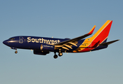 Southwest Airlines Boeing 737-7H4 (N425LV) at  Dallas - Love Field, United States